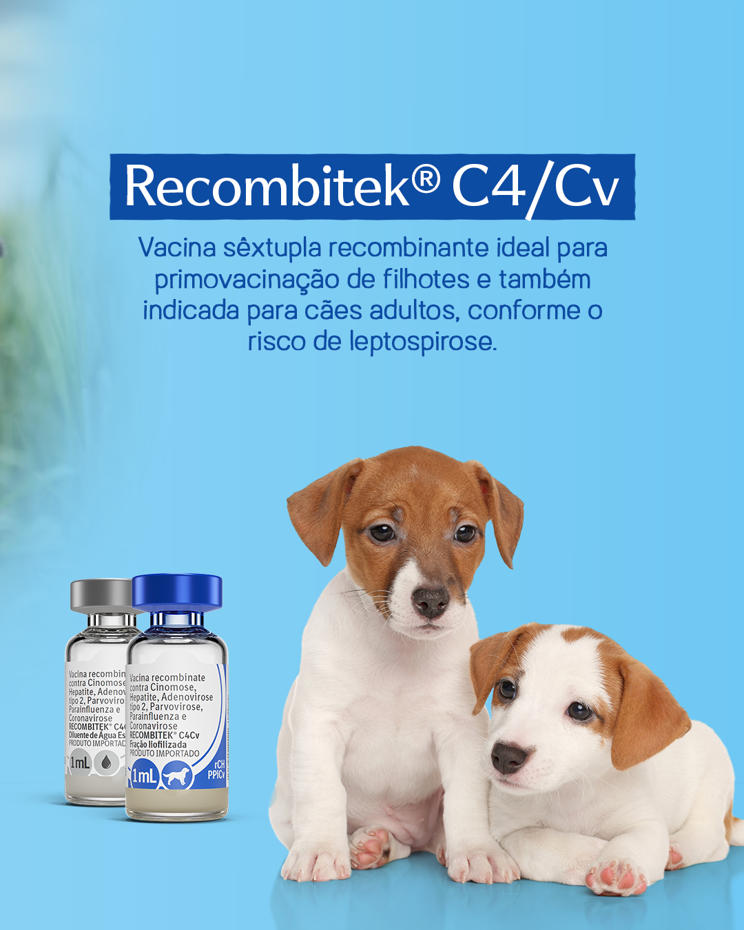 Linha Recombitek® | Boehringer Ingelheim BR